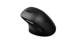 RAPOO Rapoo M50 Plus Silent Kablosuz Mouse